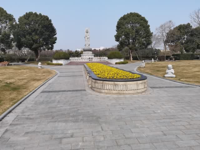 花坛两侧的铺地与树木